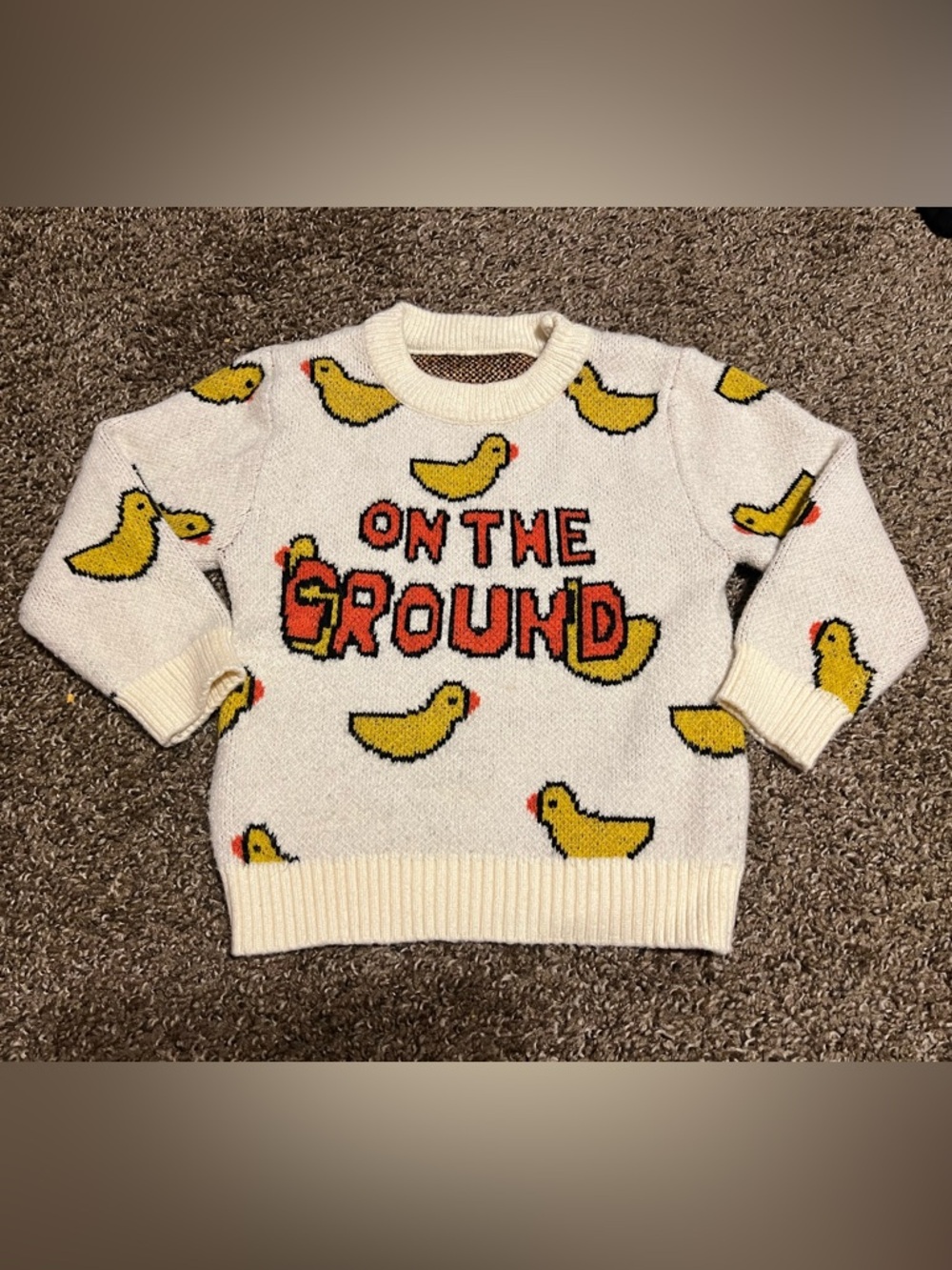 On The Ground Duck Sweater 5/6